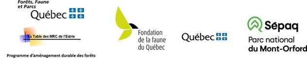 logos.png